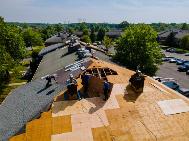 Best Flat Roof Repair Services  in Cashton, WI