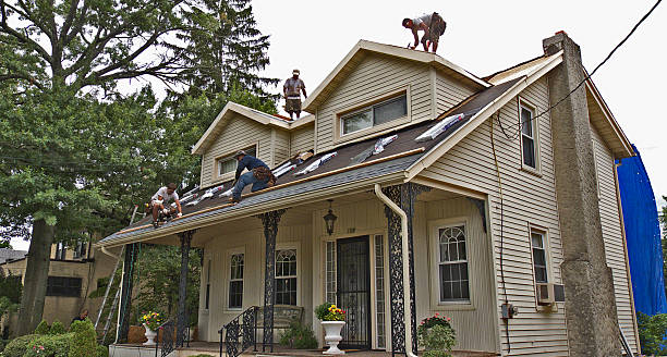 Best Best Roofing Contractors  in Cashton, WI